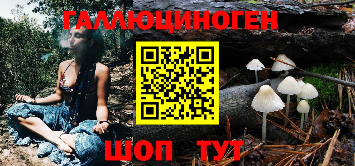 Псилоцибиновые грибы Psilocybine cubensis  Вход с VPN  Еманжелинск  Псилоцибиновые грибы GOLDEN TEACHER 
